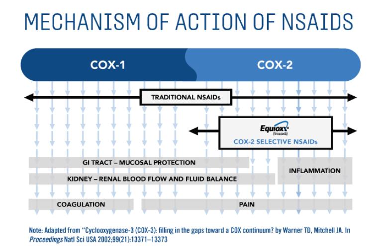 Mechanism of action of NSAIDS