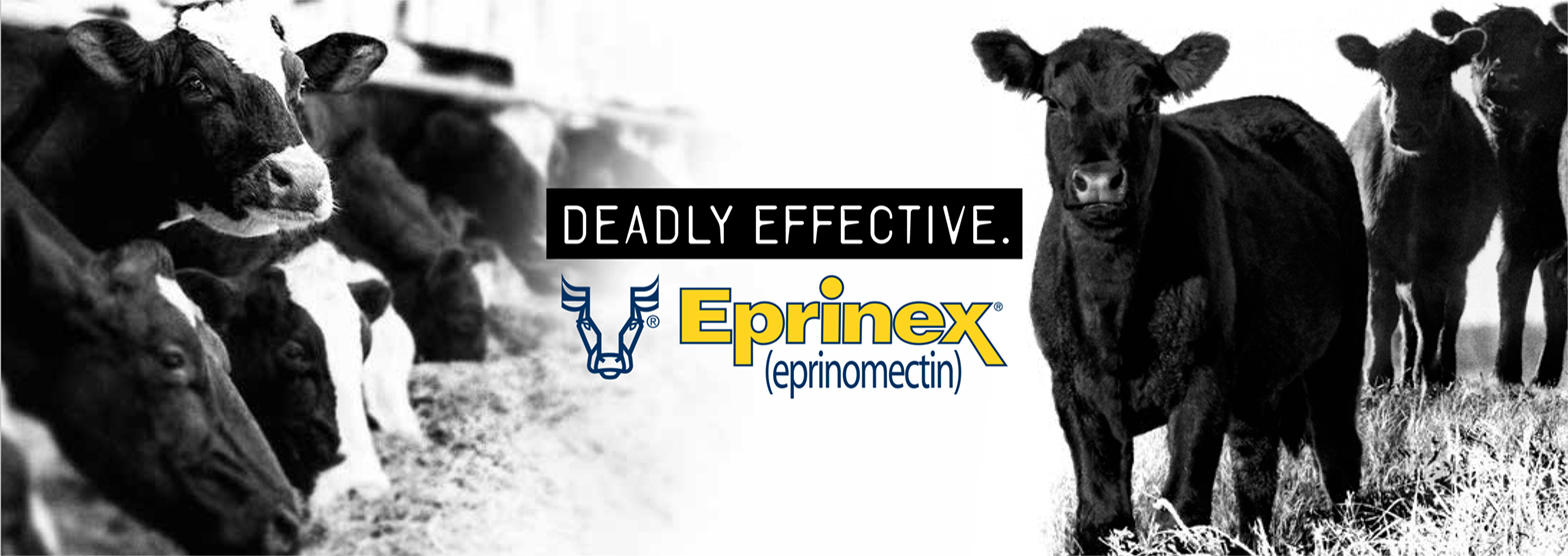 Eprinex Deadly Effective