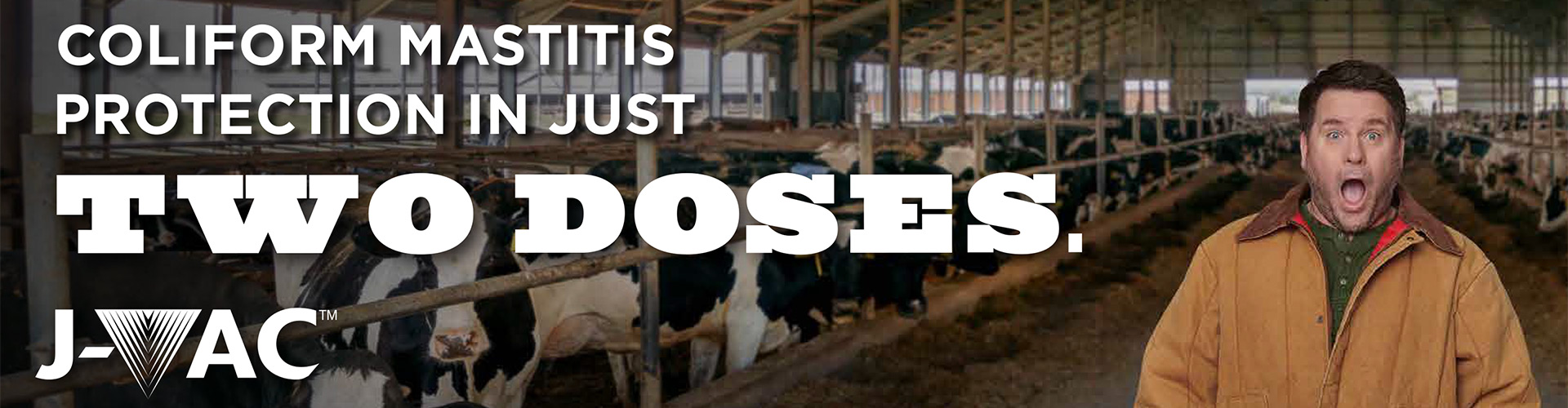 Coliform mastitis protection in just two doses
