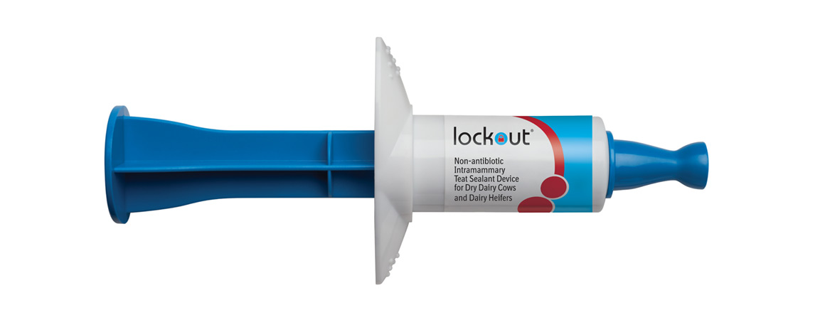 Remedy Animal Health Store - Cattle Boss luer lock syringe 60ml (3