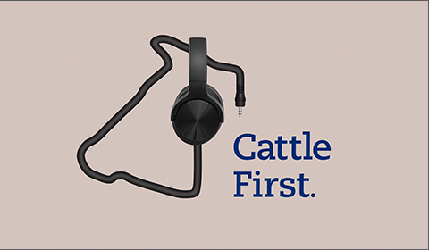 Logo for Cattle First Podcast, a healthy animal program from boehringer ingelheim