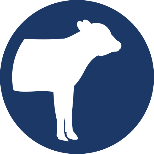 Icon representing Clostridial Disease and Pinkeye for Beef Cattle