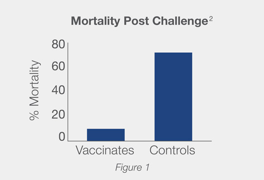 JVAC Mortality Post Challenge Graphic