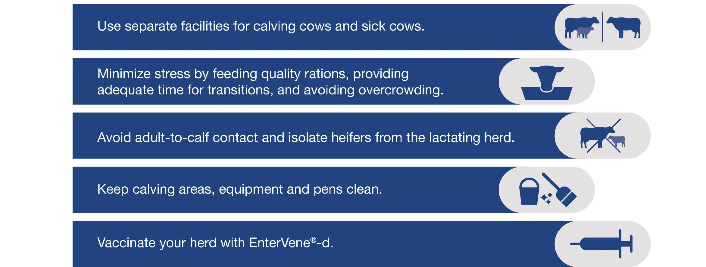 Tips to prevent S. dublin in your herd