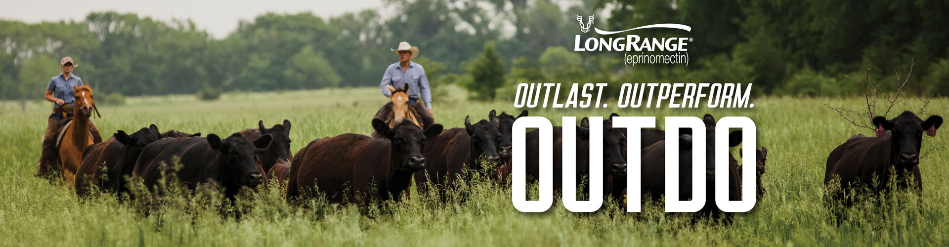 Image of cows in a field with a man on horse back in the middle. Text reads, Outlast, outperform, Outdo