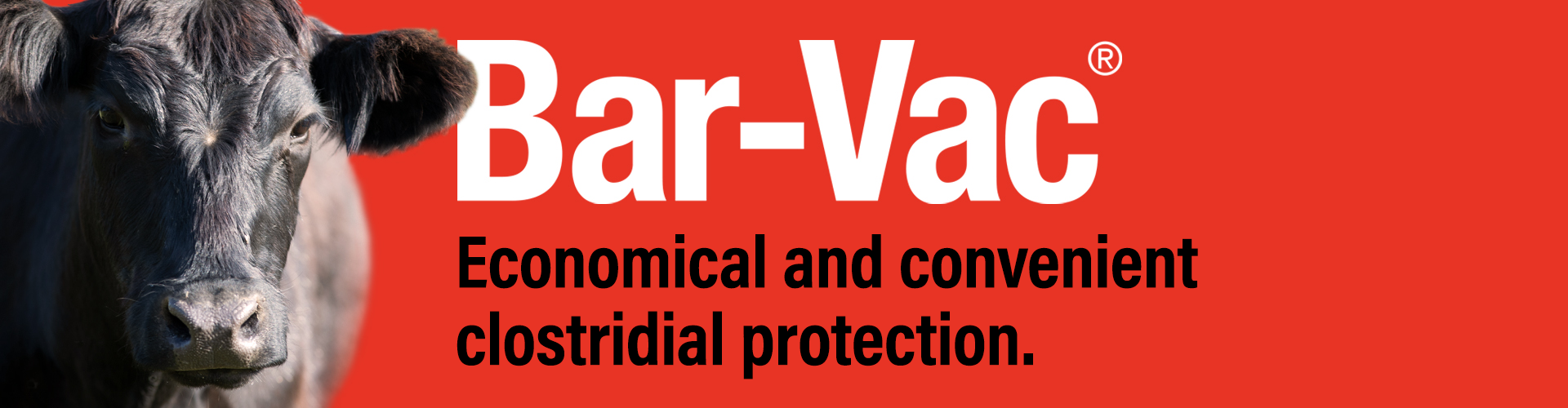 Bar-Vac branded banner