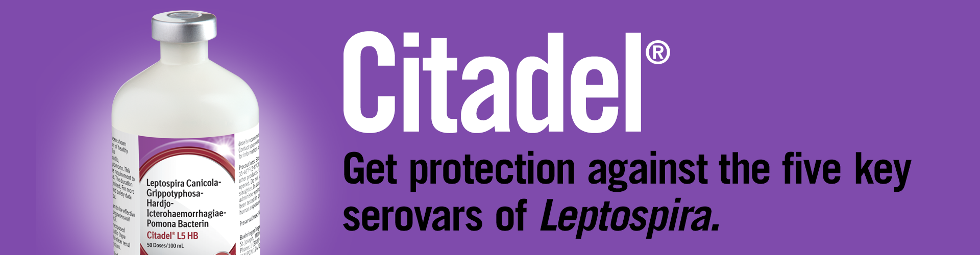 Citadel get protection against the five key serovars of Leptospira 