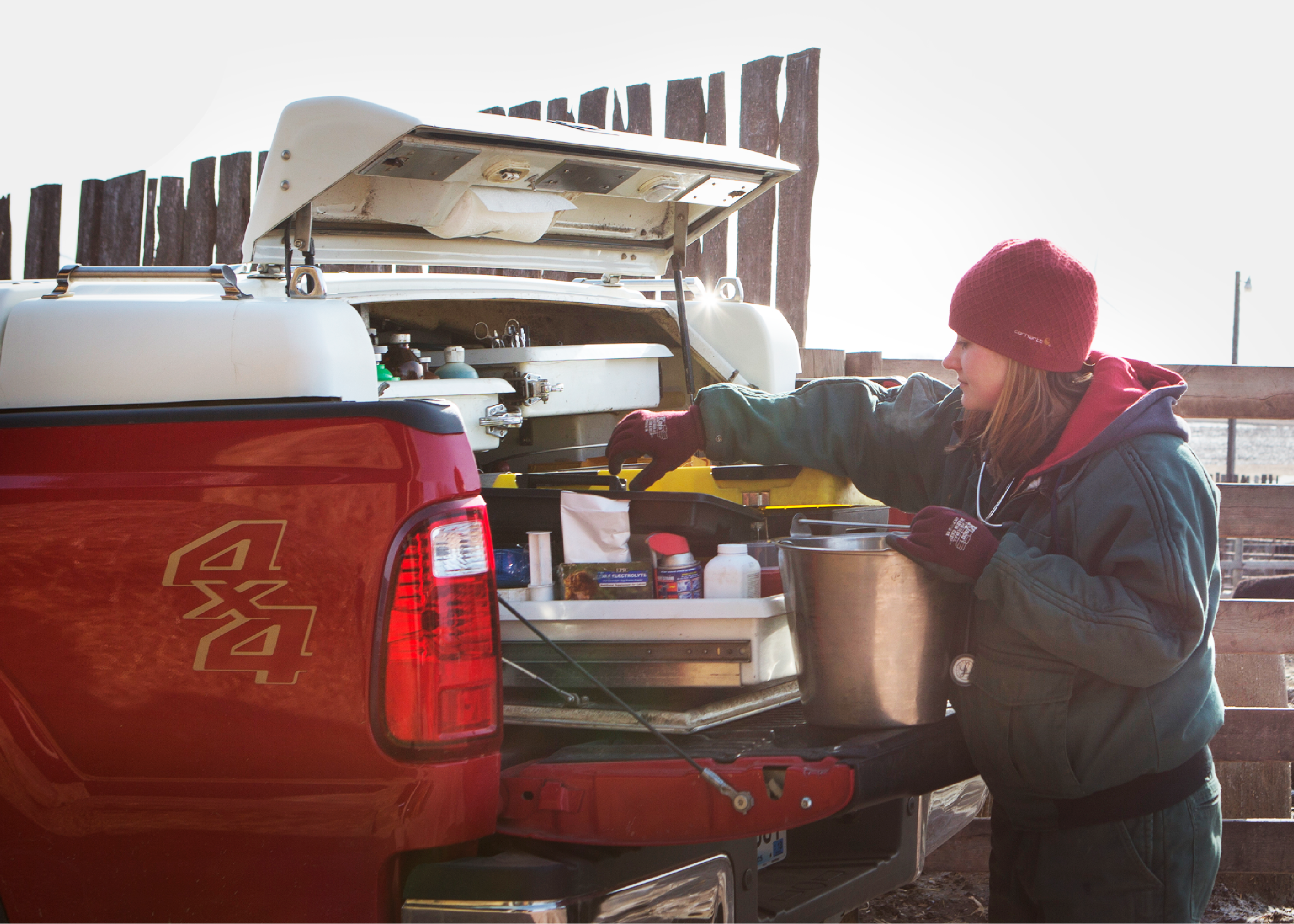 Woman getting lab materials out of back of pickup truck