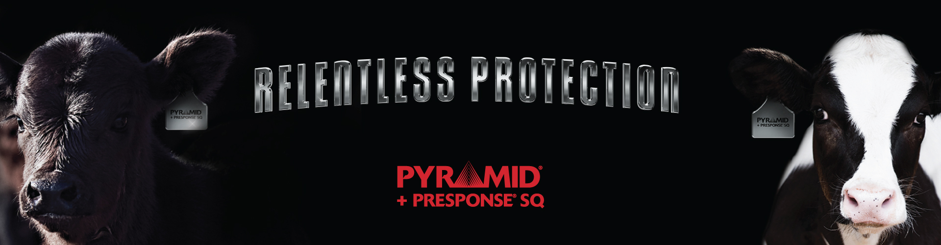 Relentless Protection Pyramid + Presponse SQ