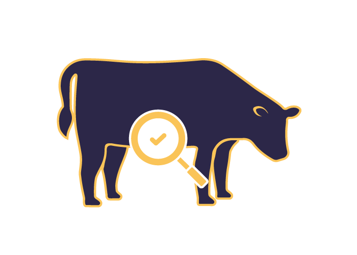 Cow with magnifying glass