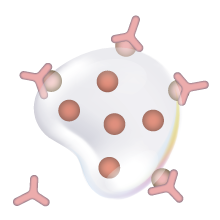 Metastim antigen hidden inside lipid droplets icon