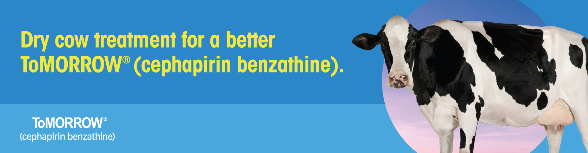 Dry cow treatment for a better ToMorrow (cephapirin benzathine)