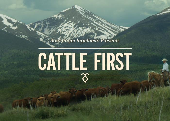 Cattle first documentary logo over cattle ranching wide shot.