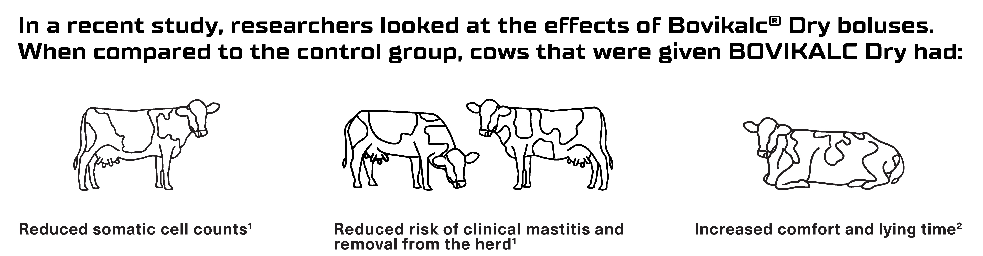 Three informational cattle pictures showing the results of a recent study on Bovikalc Dry