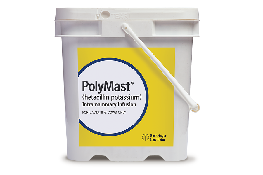 Container of PolyMast