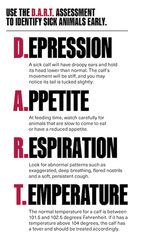 Text based infographic about how to use the DART Assessment