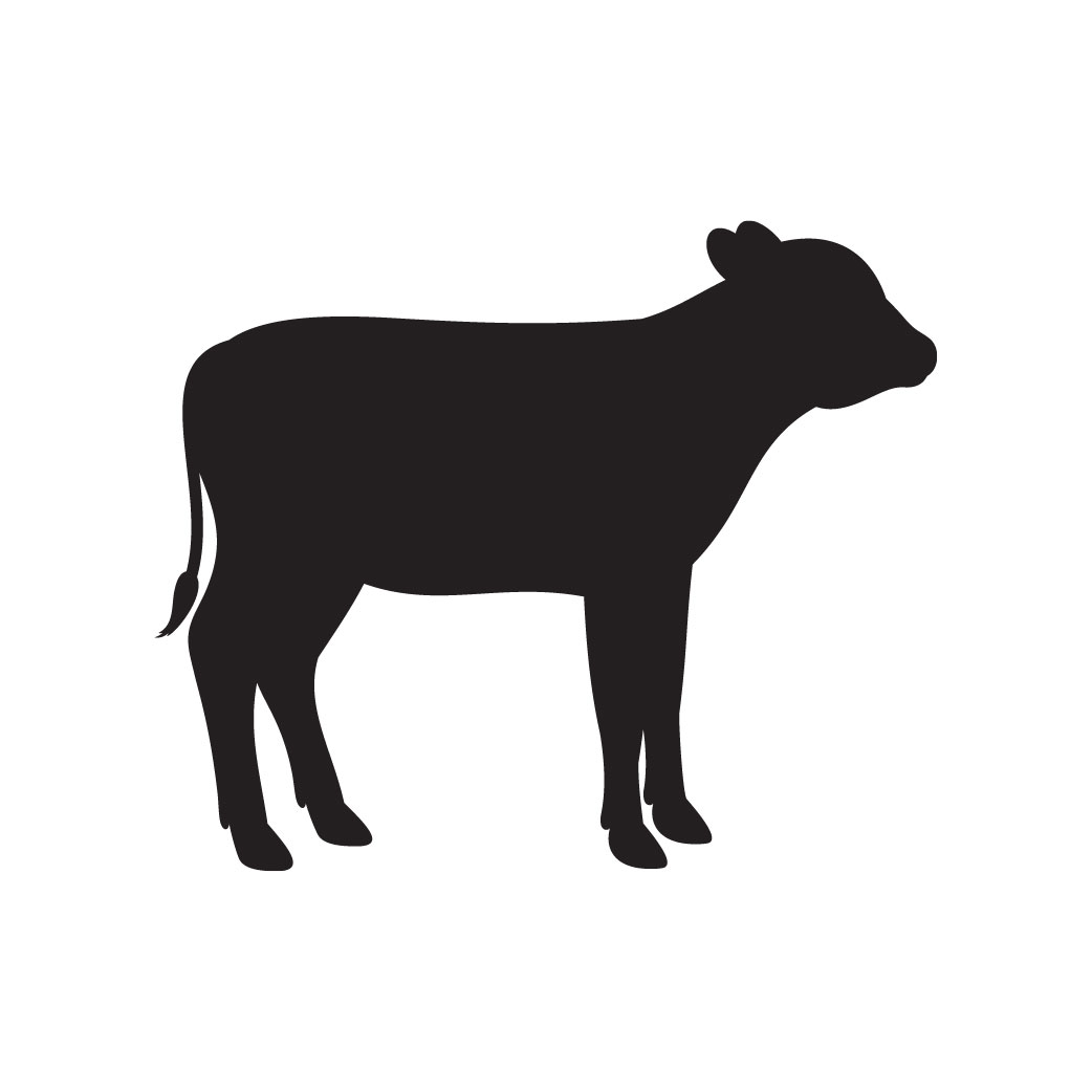 Calf icon