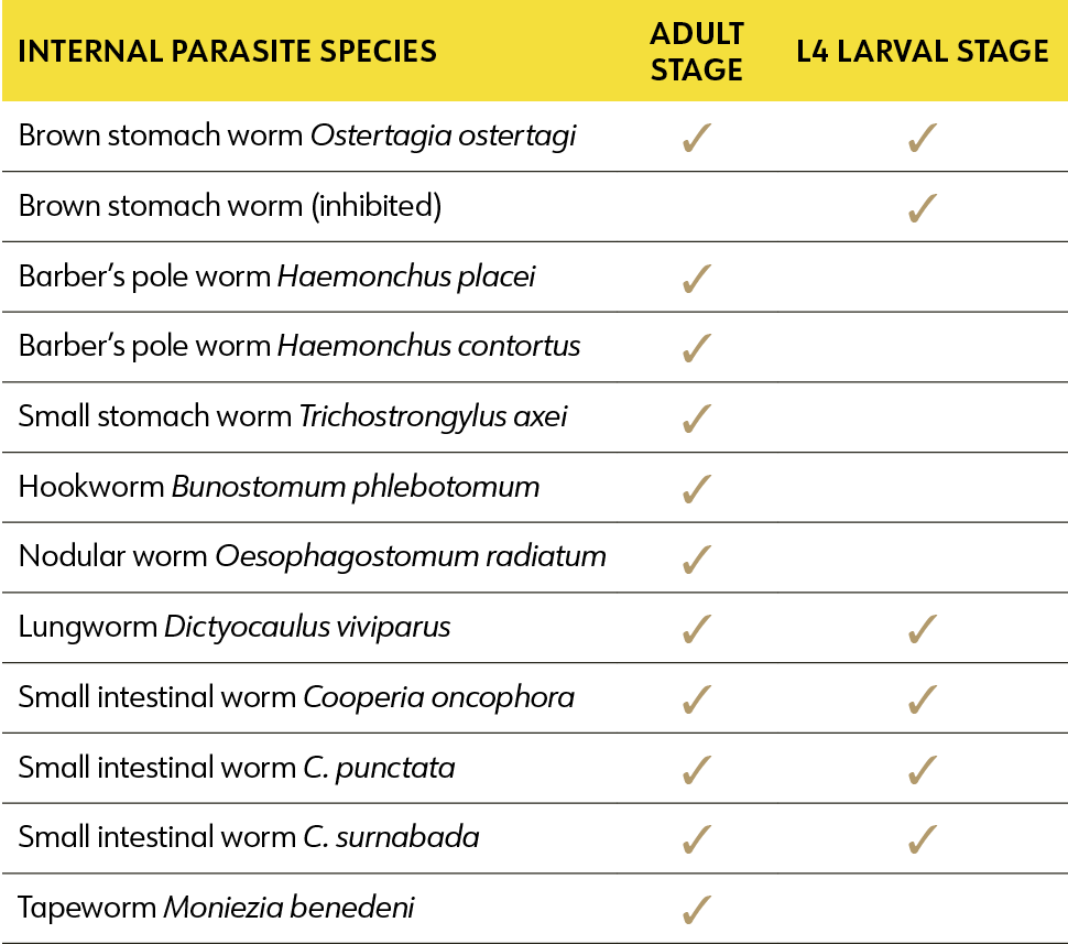 Synanthic Internal Parasite Species at Adult Stage and L4 Larval Stage Chart