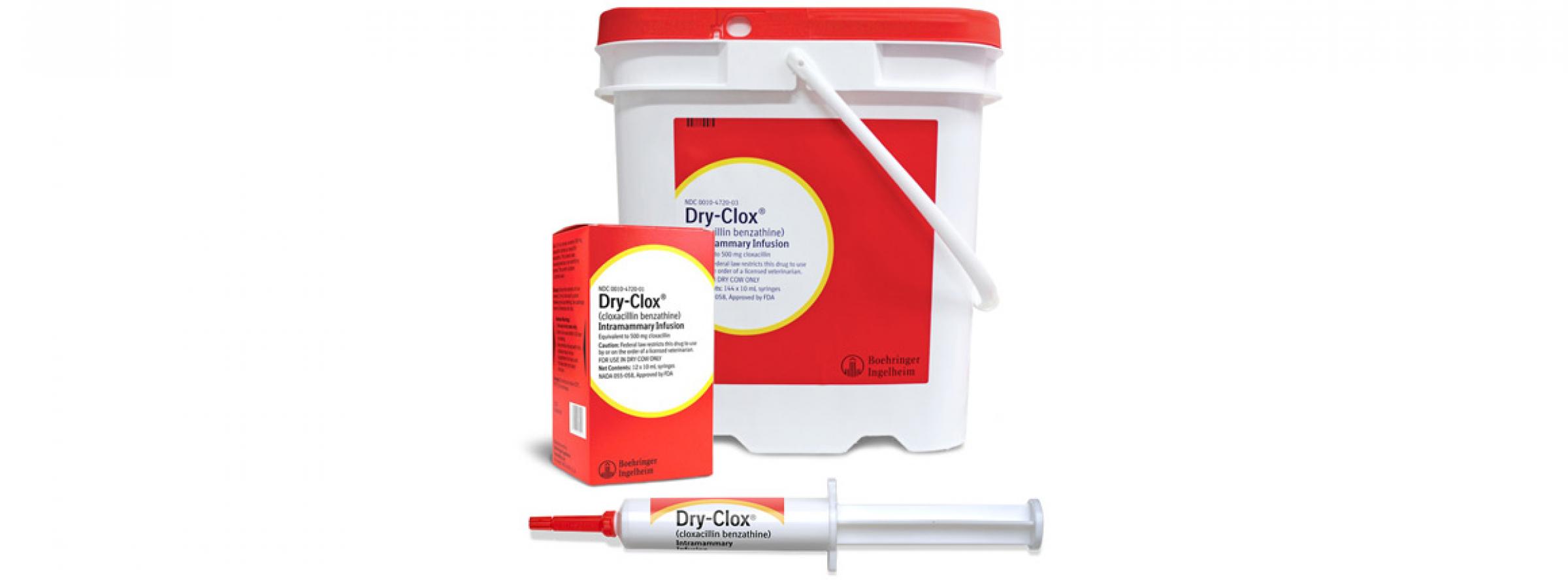 DryClox® Cattle Antibiotic from Boehringer Ingelheim Animal Health