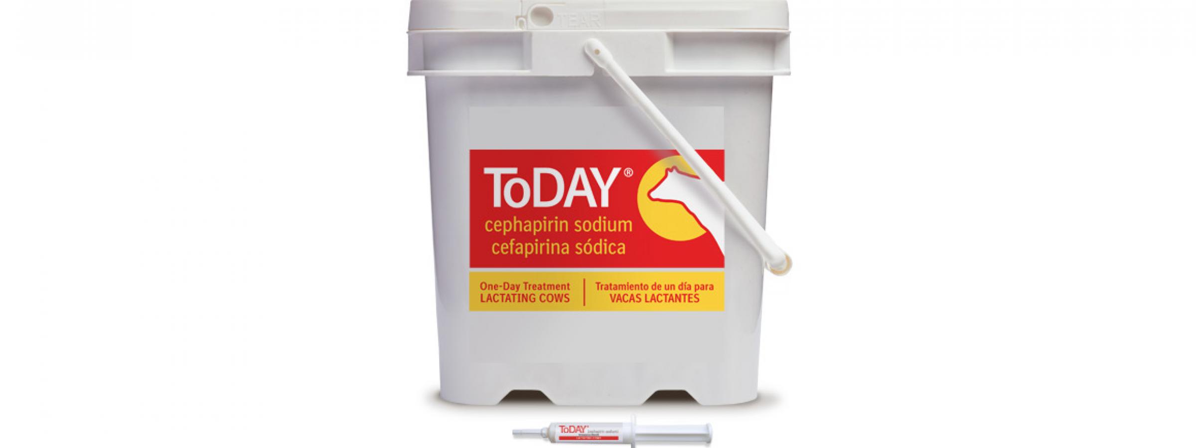 ToDAY® Antibiotic Mastitis Treatment from Boehringer Ingelheim Animal