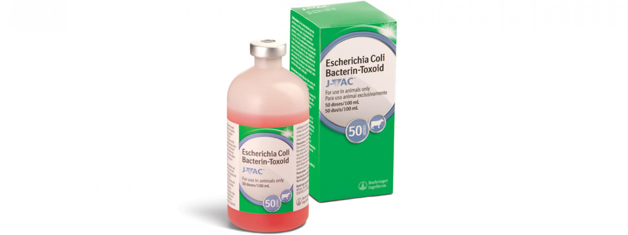 JVAC® Cattle Vaccine from Boehringer Ingelheim Animal Health