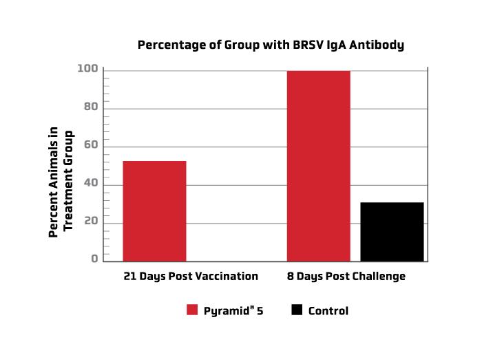 Percentage of Group with BRSV