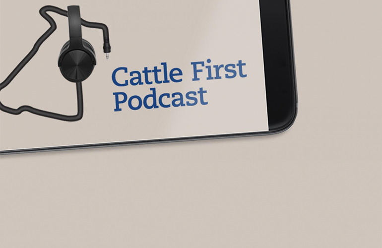 Cattle First Podcast
