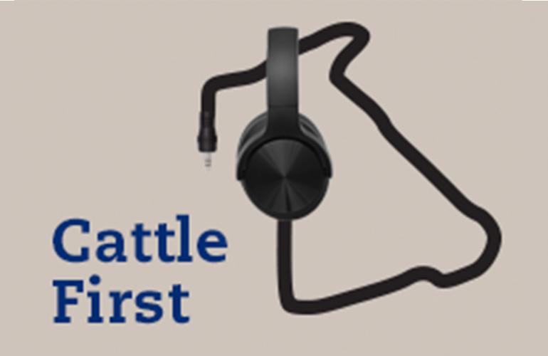 Cattle First BVDV Podcast
