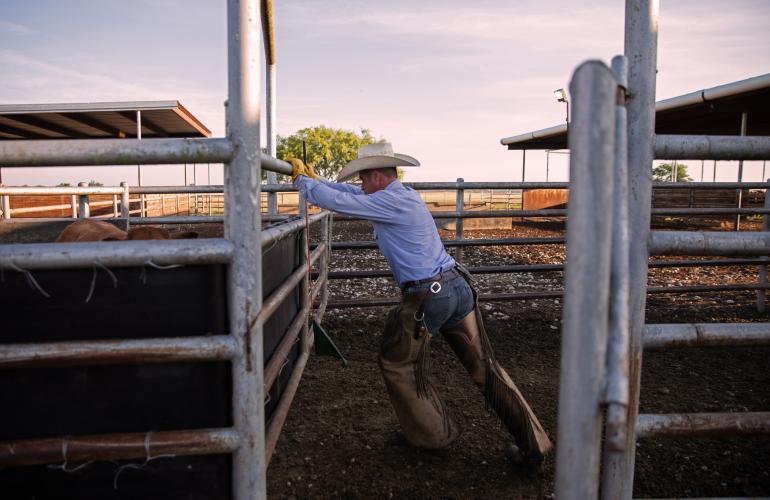 Farmer pushing fence closed
