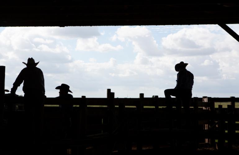 Men sitting on a rail at a cow calf ranch operation