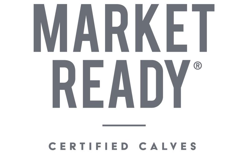 Market Ready Certified Calves Logo