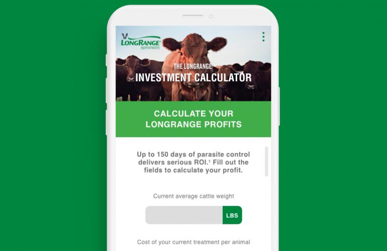 LongRange Investment Calculator