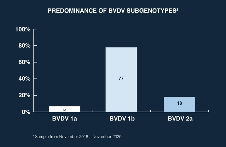 Bar Chart showing the predominance of BVDV Subgenotypes