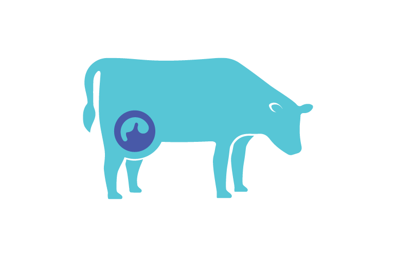 Teal cow fertility icon