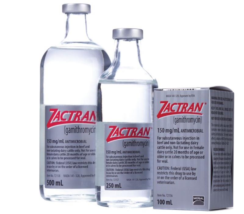 Bottle of Zactran antibiotic for protection against BRD