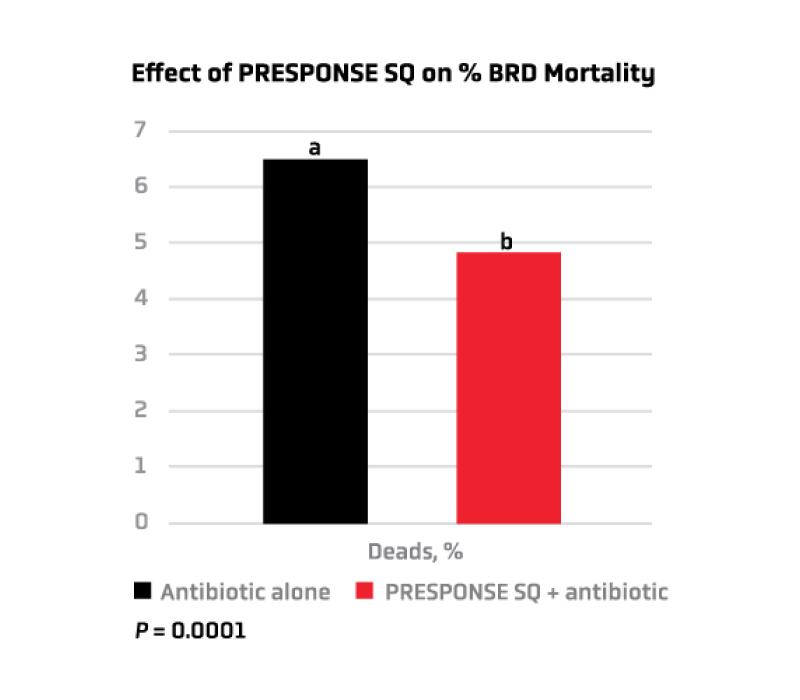 Effect of Presponse SQ on BRD Mortality