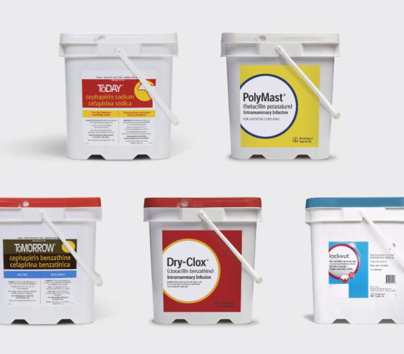 Mastitis portfolio of products including ToDAY, PolyMast, ToMORROW, Dry-Clox, and Lockout.