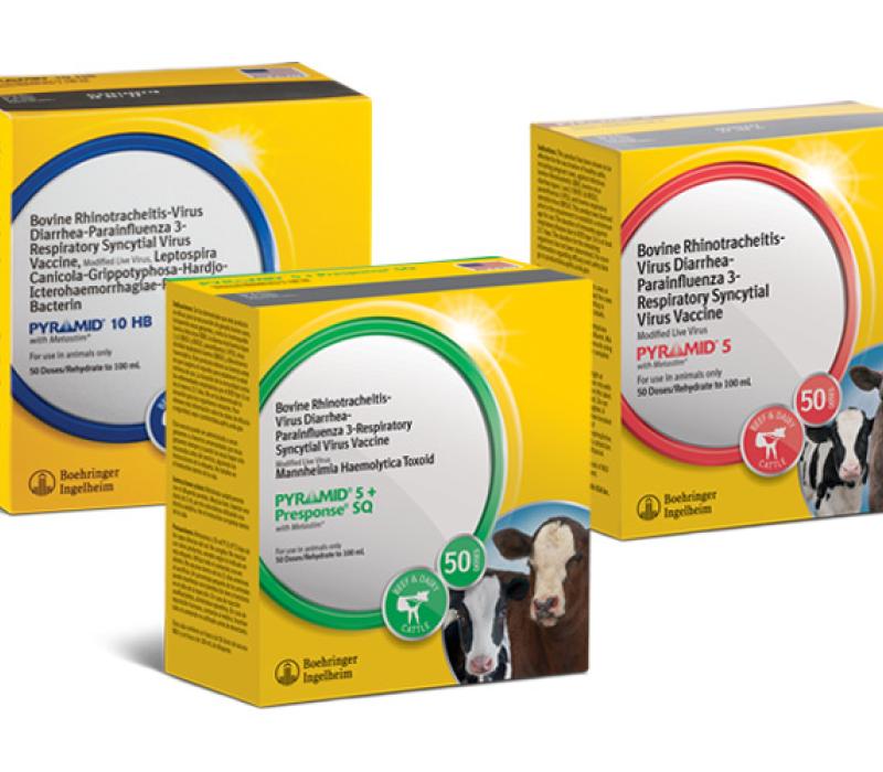 Pyramid® Research Page | Boehringer Ingelheim Animal Health