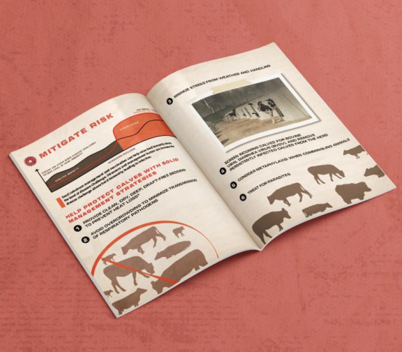 Dairy operations brochure