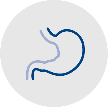 Equine gastric health icon