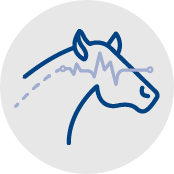 Icon depicting graph of horse brain activity