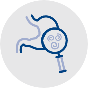 Icon of magnifying glass exposing parasites in gastric system