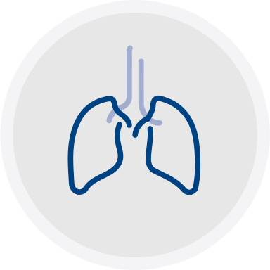 Equine respiratory health icon