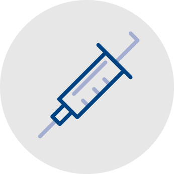 Equine vaccination icon