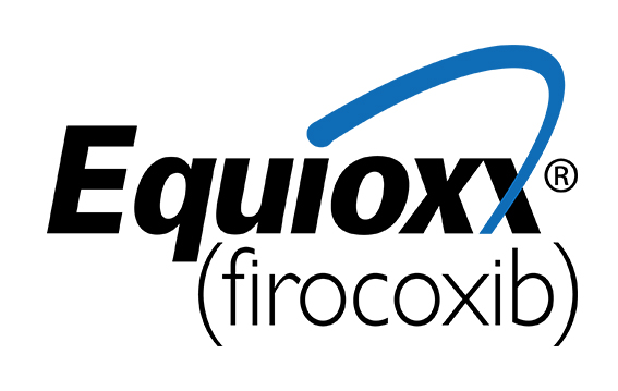 Equioxx Logo Lockup