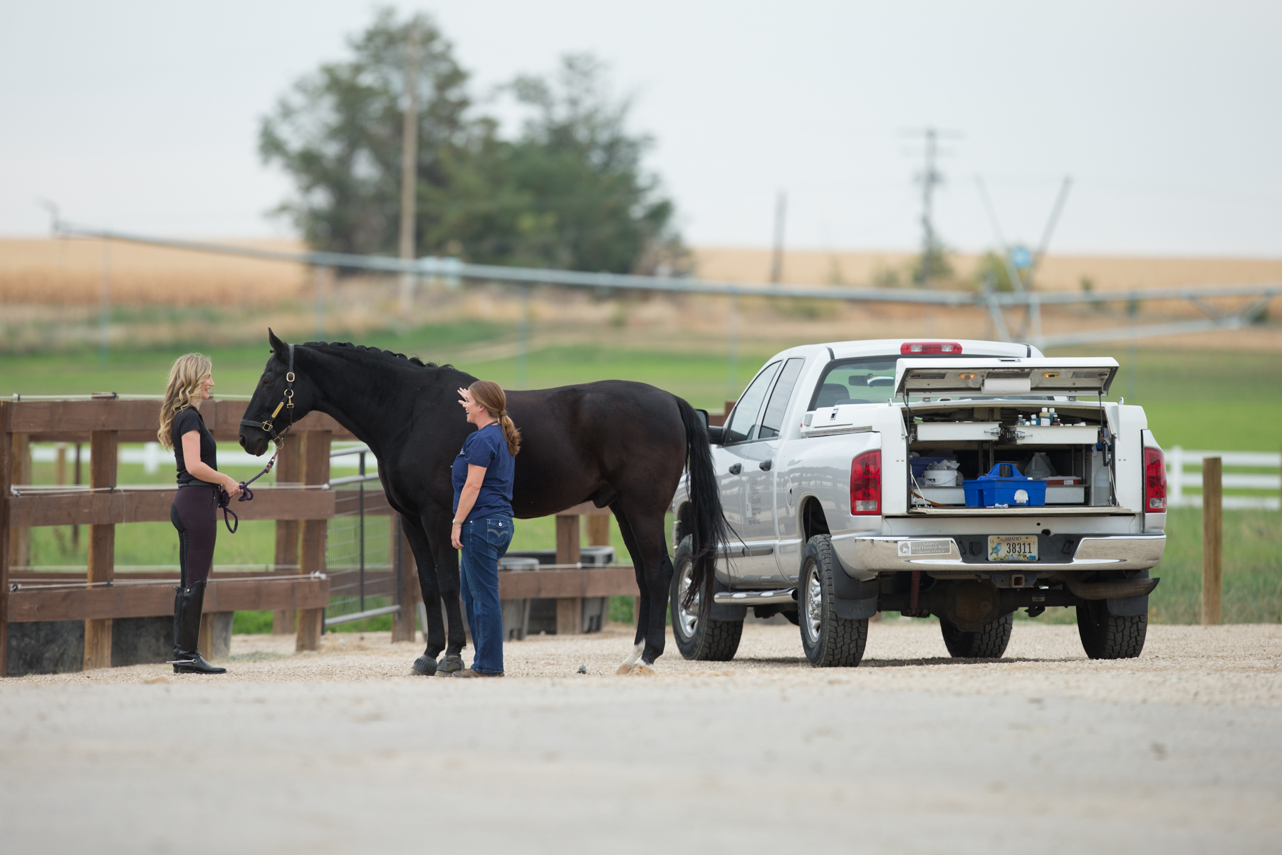 Peace of Mind Comes with a Small Price Boehringer Ingelheim Animal Health