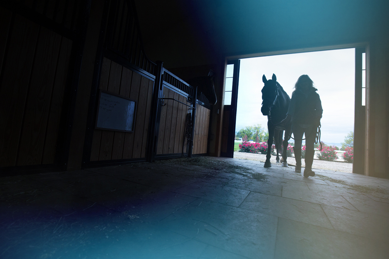 Woman walking horse into stable