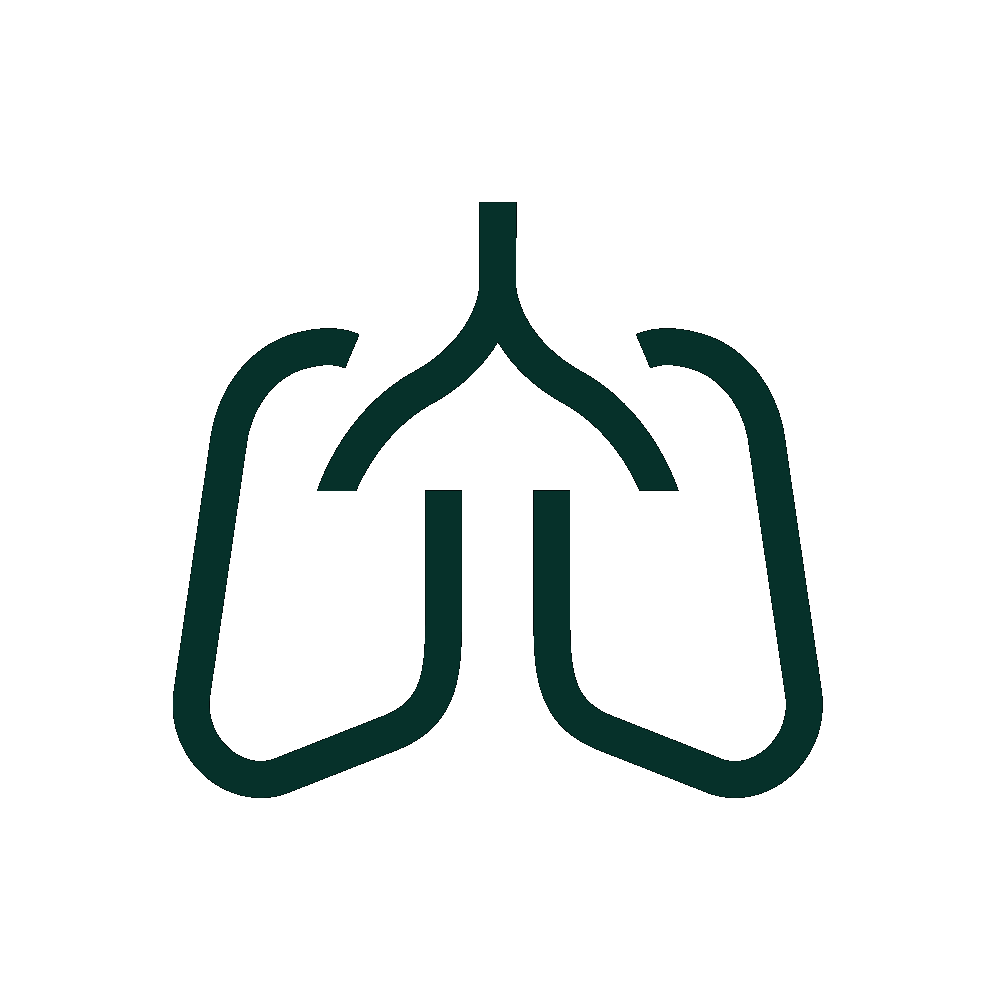Icon for equine Respiratory Health