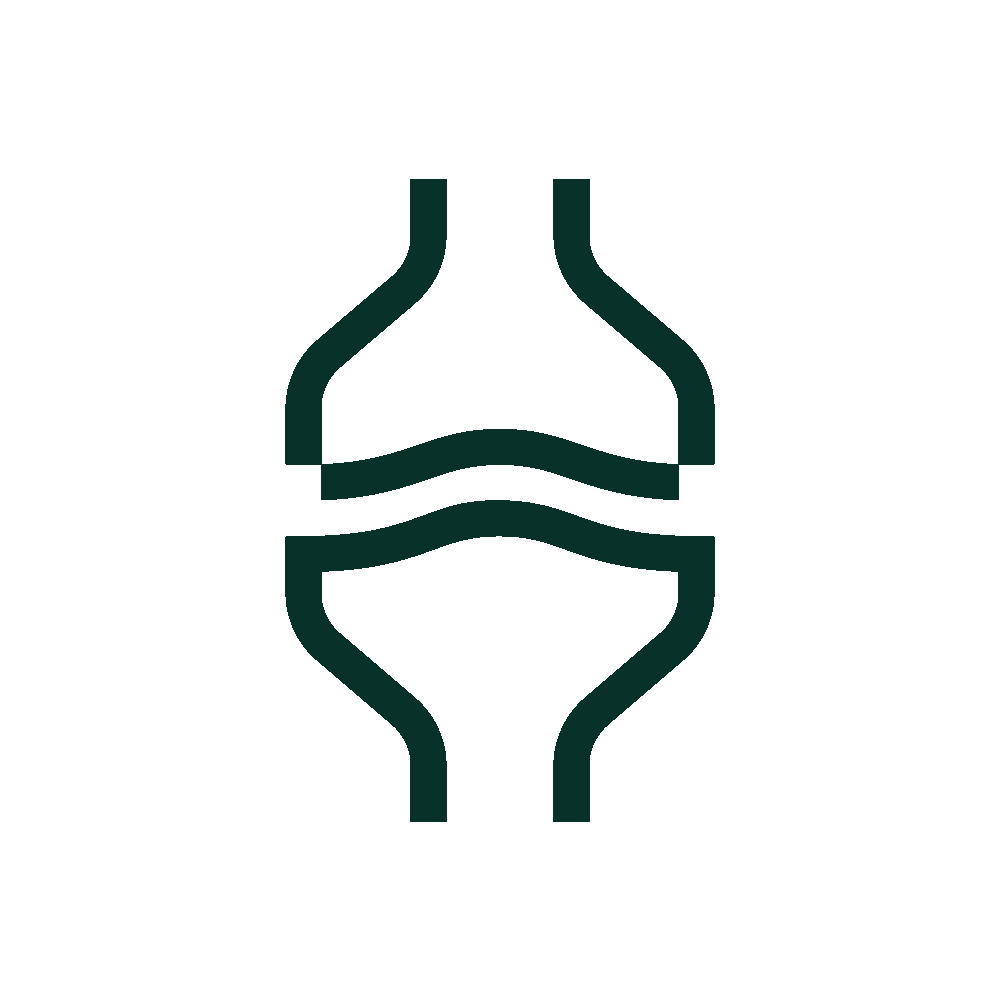 Icon for Equine Joint Health