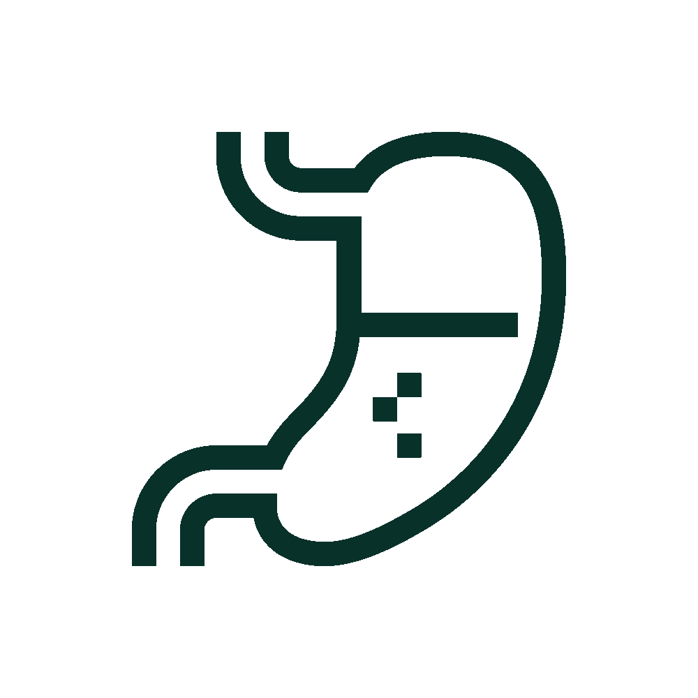 Equine Gastric Health icon